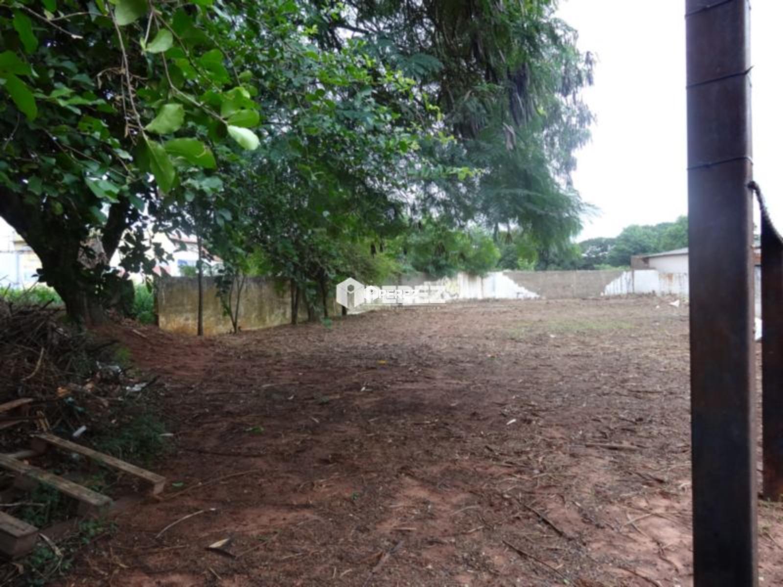 venda-campo-grande-ms-terreno-montese-vila-olinda-perez-imoveis