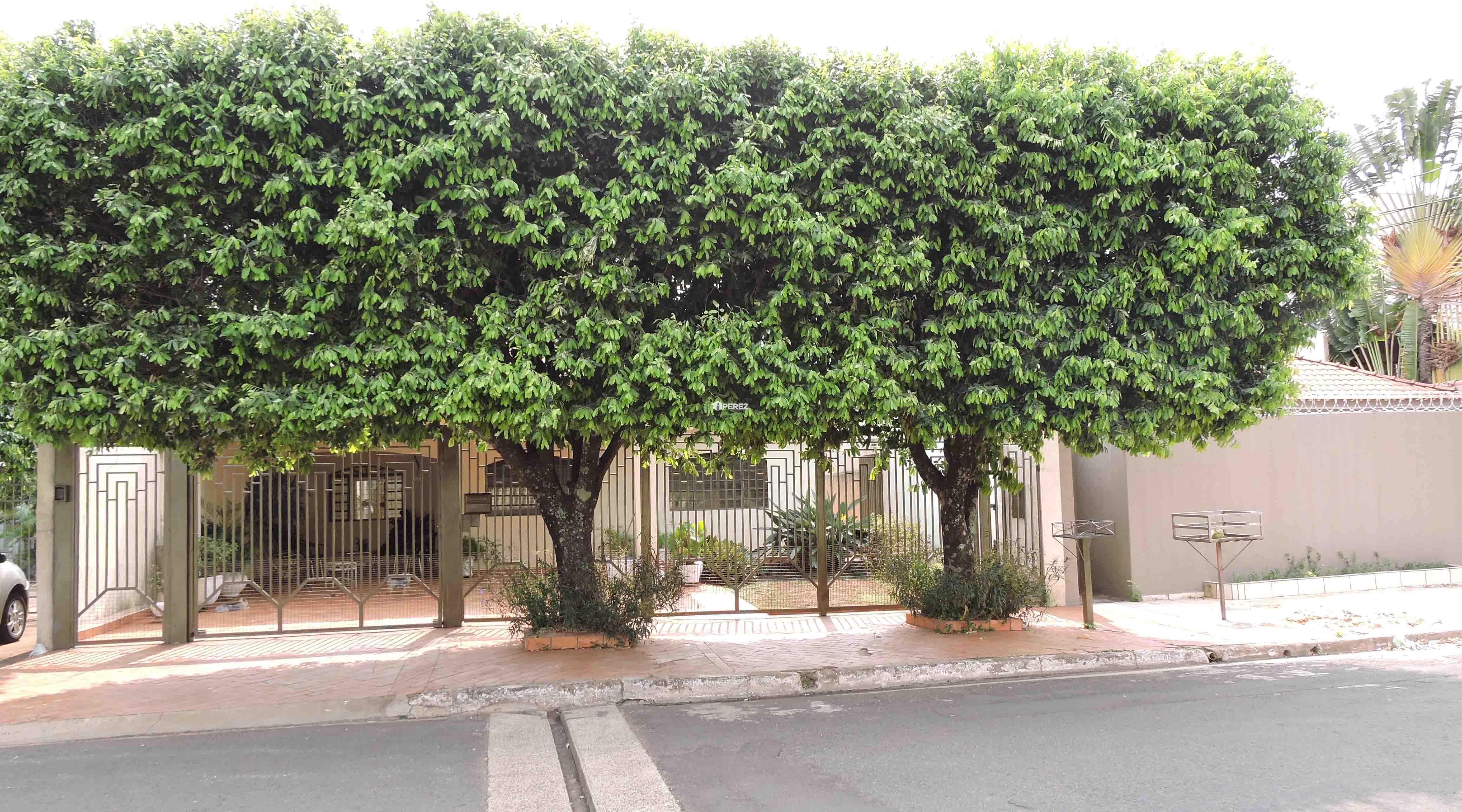 venda-campo-grande-ms-casa-terrea-estrela-do-sul-vila-vilas-boas-perez-imoveis