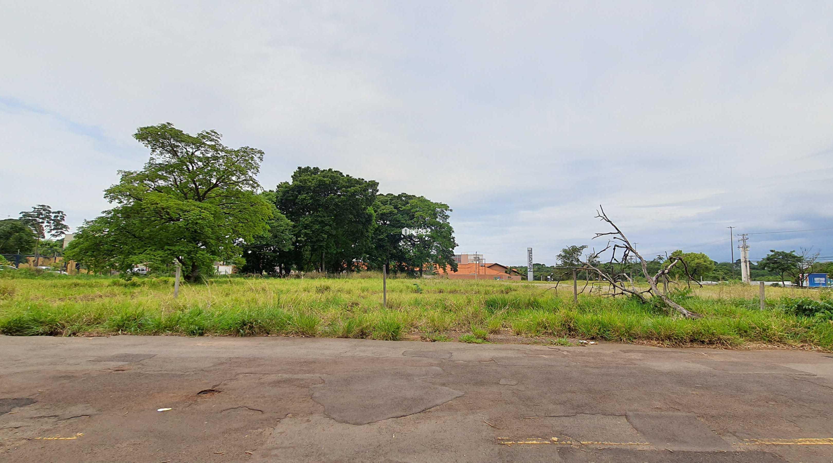 aluguel-campo-grande-ms-terreno-mato-grosso-tayama-park-perez-imoveis